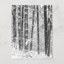 Search for cold weather postcards Ice