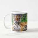 Search for siberian tiger mugs Cat