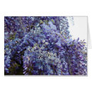 Recherche de glycines cartes postales Photographie