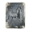 Recherche de étalon noir magnets Cheval sauvage