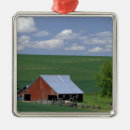 Search for idaho state ornaments Field