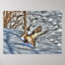 Search for flying ducks art Birds