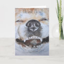 Search for akitas cards Cute dogs