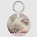 Search for the rag keychains Cat