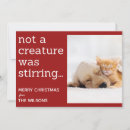Search for not a creature was stirring holiday cards Cat