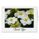 Search for clematis Thank you