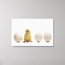 Search for new life canvas prints Nature