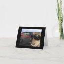 Search for puggle postcards Pet