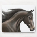 Recherche de course de cheval de pur sang Équin