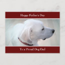 Search for profiling postcards Dog