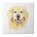 Recherche de extracteur carreaux Chien