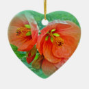 Search for hibiscus ornaments Photography