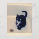 Search for playtime postcards Cat