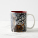 Search for abyssinian mugs Kitten
