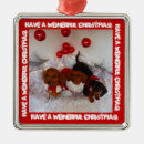 Search for weiner dog ornaments Puppy