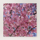 Recherche de cerisier japonais puzzles Fleurs de cerisiers japonais