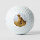 Search for cheetah golf balls Wildlife
