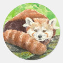 Search for panda illustration stickers Animal