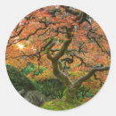Search for japanese garden stickers Fall