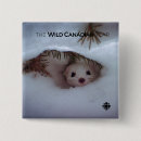 Search for weasels buttons Wildlife
