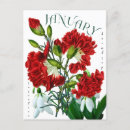 Recherche de fleurs de janvier cartes postales Pour tous
