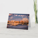 Search for scene note cards Trees