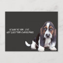 Search for caring horizontal postcards Animal