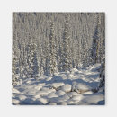 Search for alberta magnets Icefields parkway