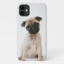 Search for pet sitting iphone cases Cute