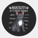 Search for french mastiff stickers Yellow lab