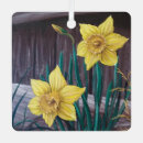 Search for daffodil ornaments Floral