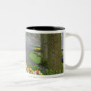 Search for holland park mugs Garden
