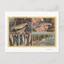 Search for seining postcards Lantern