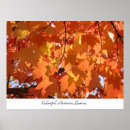 Search for fall colours art Colourful