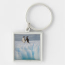 Search for antarctic penguin keychains Ice