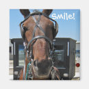 Search for amish magnets Pennsylvania