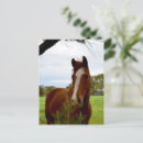 Search for smells postcards Sniffing