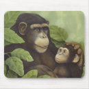 Search for chimps mousepads Apes