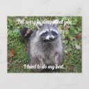 Search for sorry card postcards Wildlife