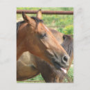 Search for laughing horse postcards Farm