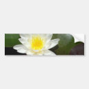 Search for macro bumper stickers Close up