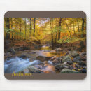 Search for river fall electronics Forest