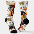 Search for dachshund socks Puppy