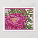 Recherche de peine cartes postales Floral