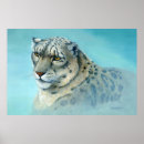 Search for snow leopard posters Large cat