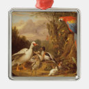 Recherche de canards autres Oiseaux