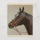 Search for equestrian holiday cards Stallion