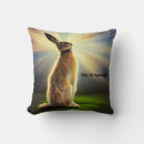 Search for hare pillows Moon