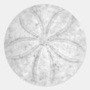 Search for dollar stickers Ocean