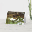 Search for bug lover cards Entomology